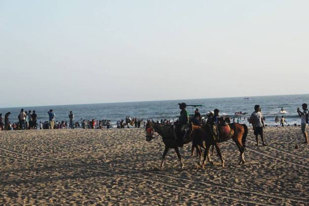 Horse rides on the beach.